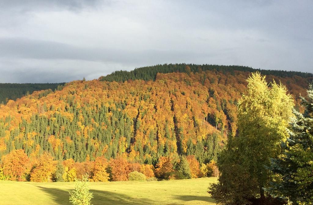 Ferienwohnungen Gehlberg Exteriér fotografie