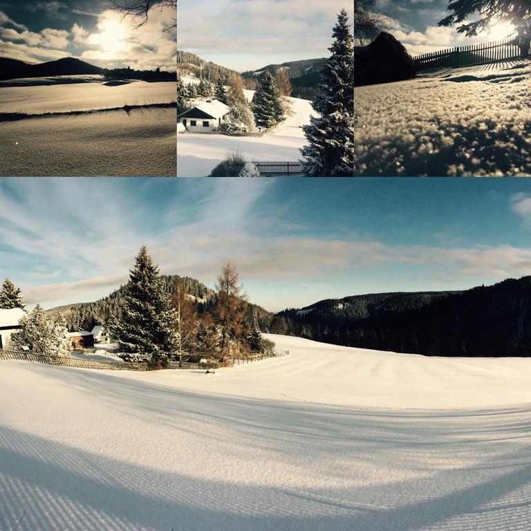 Ferienwohnungen Gehlberg Exteriér fotografie